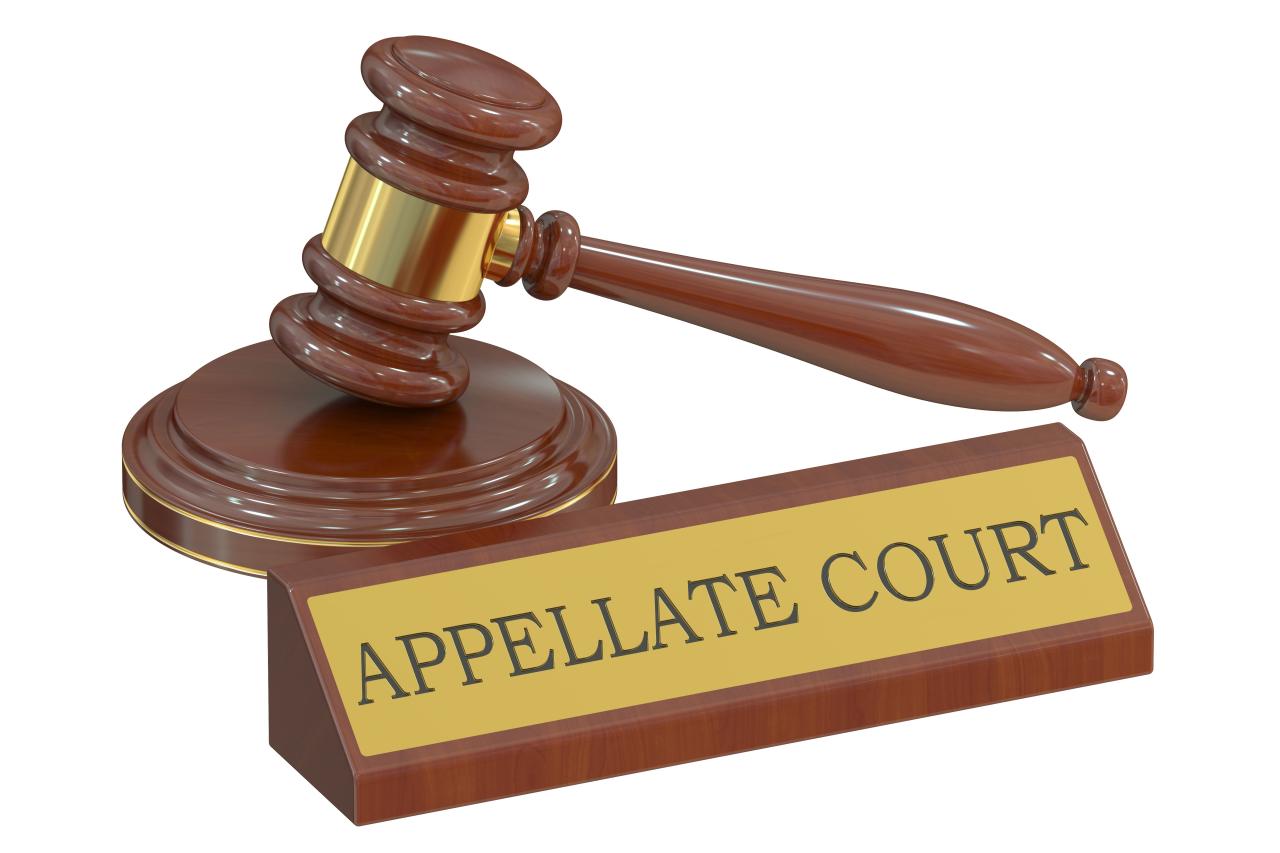 How To Appeal A Court Decision Effectively